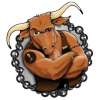 Rocking Bull