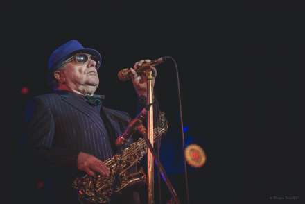 Van Morrisson sluit Jazz Middelheim 2017 af