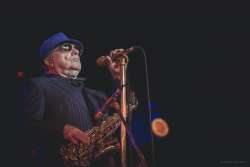 Van Morrisson sluit Jazz Middelheim 2017 af