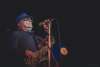 Van Morrisson sluit Jazz Middelheim 2017 af
