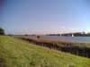 Den bocht van de Schelde over Sint Anneke