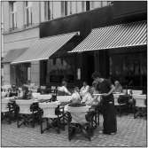 Brasserie van Loock terras