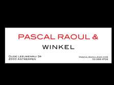 PASCAL RAOUL & winkel