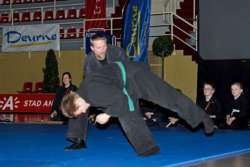 Demo Bujinkan Ninpo Taijutsu