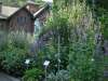 Juli 2013 groen blog antwerpen