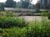 Juli 2013 de Prairietuin groen blog Antwerpen