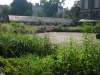 Juli 2013 de Prairietuin groen blog Antwerpen