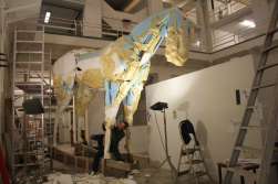 Work in progress - Daan Verzele