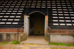 K. Berchem Sport