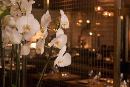 Umami-Antwerpen-Zuid
