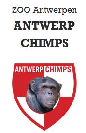 Antwerp Chimps