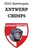 Antwerp Chimps