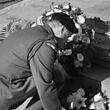 bevrijdingsfeest_550.jpg