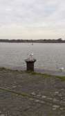 Blauwe Steen aan de Schelde