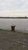 Blauwe Steen aan de Schelde