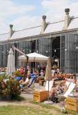 Het terras van de Cargo Zomerbar in Park Spoor Noord