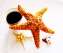 Starfish & Coffee