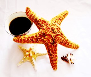 Starfish & Coffee