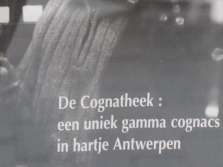 Cognatheek