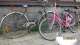 Fiets Antwerpen