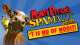 Monty Python's Spamalot Stadsshouwburg