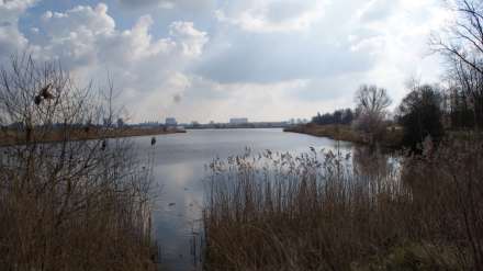 Scheldepark