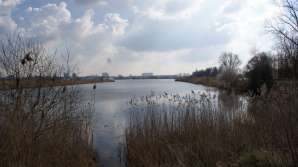 Scheldepark