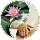 Sentir logo