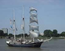 Tall Ships Race