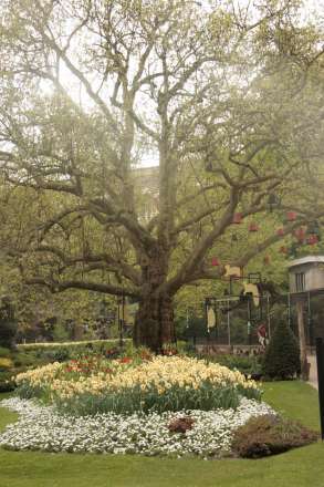 Zoo Antwerpen Pasen
