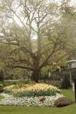 Zoo Antwerpen Pasen