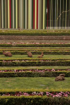 Zoo Antwerpen Paaskonijnen